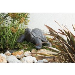 TORTUE LARGE L.60cm (45x25x62cm)