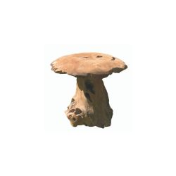 CHAMPIGNON TECK H.40cm